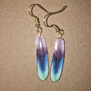 Elegant Multicolor Feather Earrings